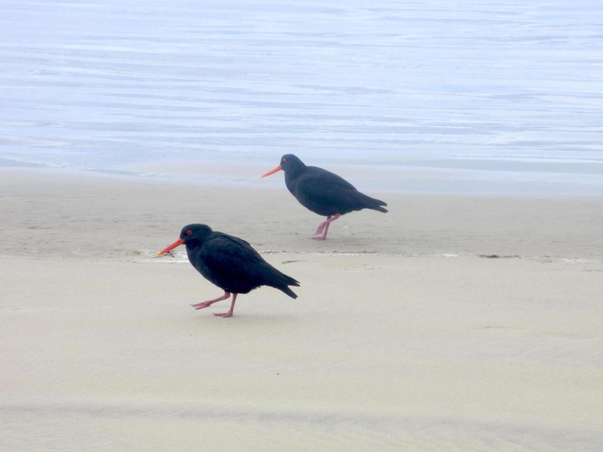 Catlins Lake Sanctuary Owaka Esterno foto
