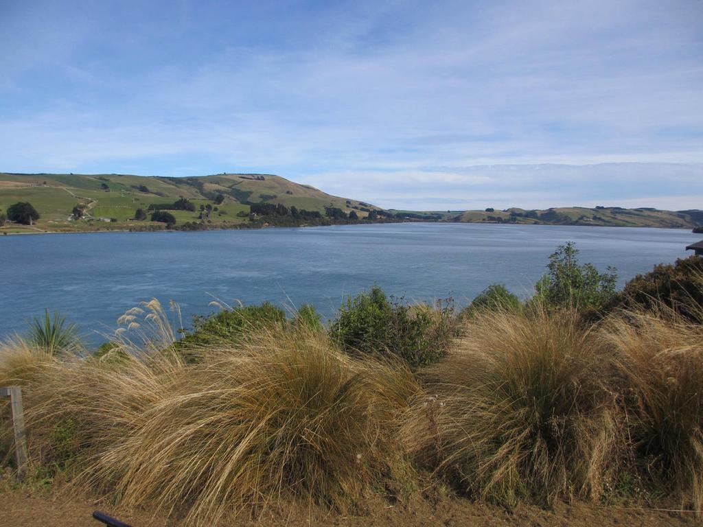Catlins Lake Sanctuary Owaka Esterno foto
